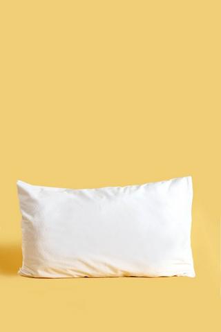 Pillow Protector