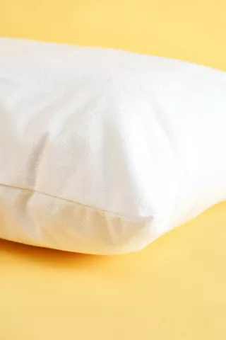 Pillow Protector