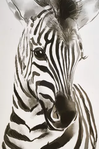 Zebra Framed Wall Art A3