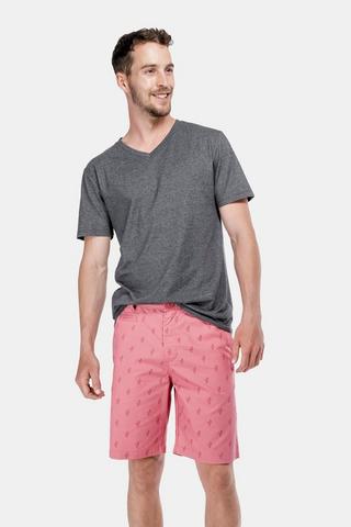 Printed Chino Shorts