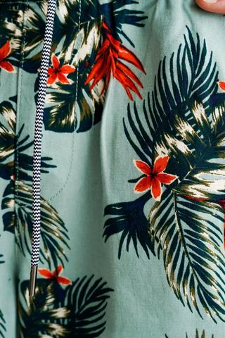 Swim Shorts