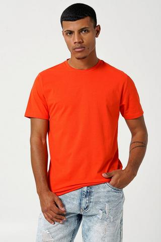 Regular Fit Crew Neck T-shirt