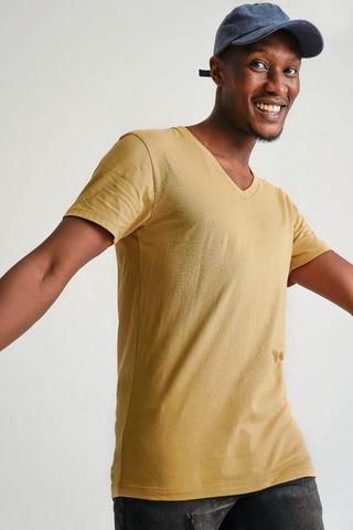Regular Fit V-neck T-shirt