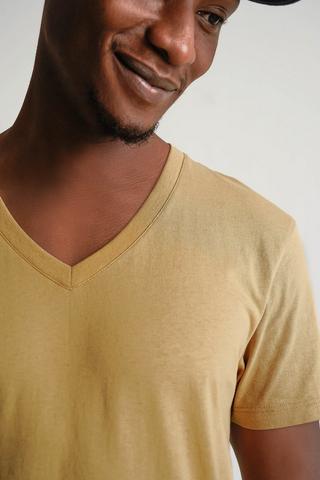 Regular Fit V-neck T-shirt