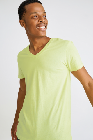 Slim Fit V-neck T-shirt