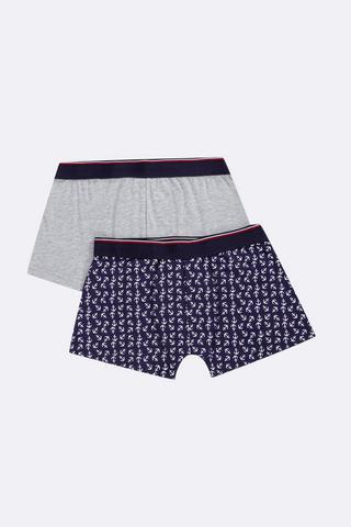 2 Pack Trunks