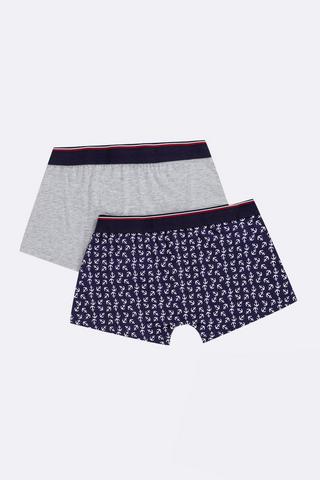 2 Pack Trunks