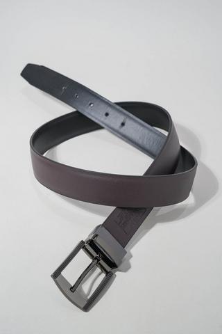 Reversible Belt