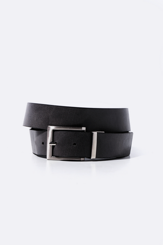 Reversible Belt