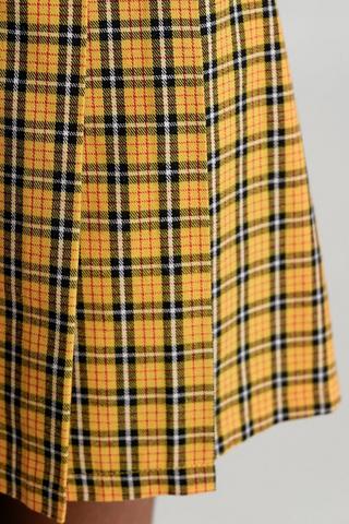 Pleated Skirt