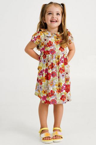 Peter Pan Collar Dress