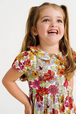 Peter Pan Collar Dress