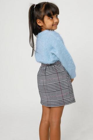 Check Skirt