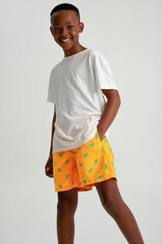 Swim Shorts