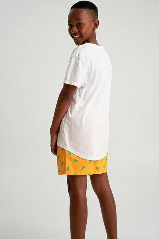 Swim Shorts