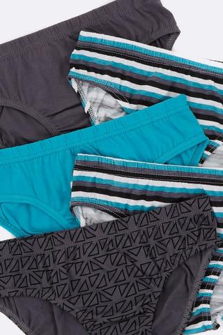 5 Pack Briefs