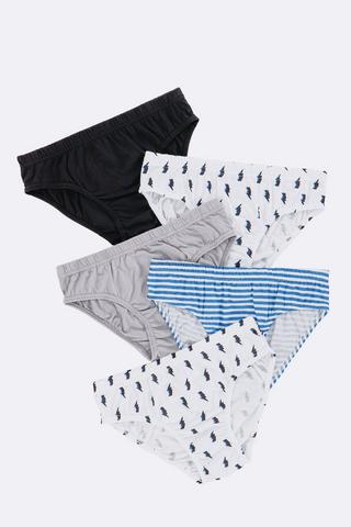 5 Pack Briefs
