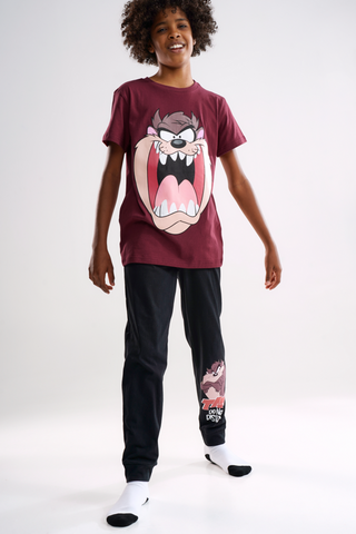 Looney Tunes Sleep Set