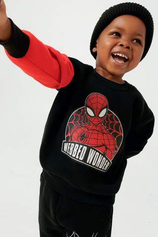 Spiderman Pullover