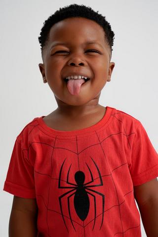 Spiderman Set