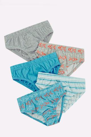 5 Pack Briefs