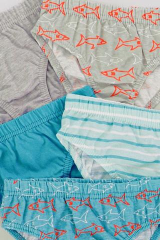 5 Pack Briefs