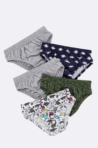 5 Pack Briefs