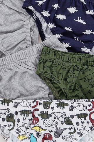 5 Pack Briefs
