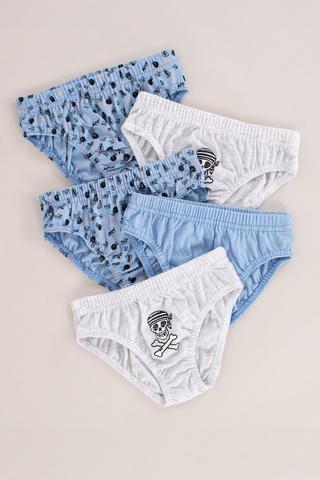 5 Pack Briefs