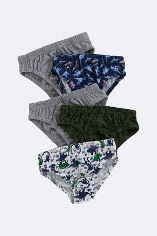 5 Pack Briefs