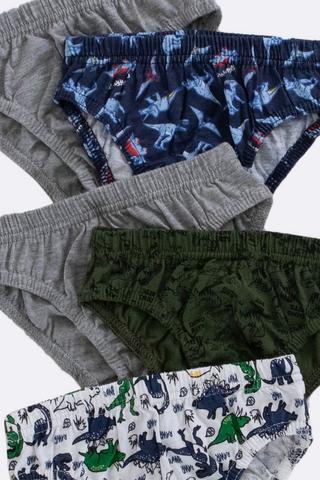 5 Pack Briefs