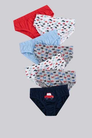 7 Pack Briefs
