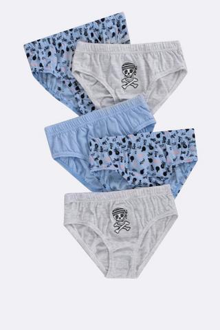 5 Pack Briefs