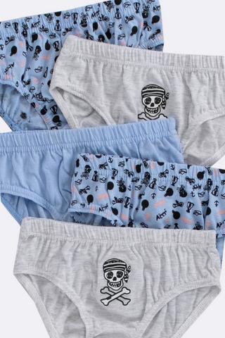 5 Pack Briefs