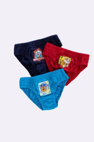  Paw Patrol Toddler Underwear