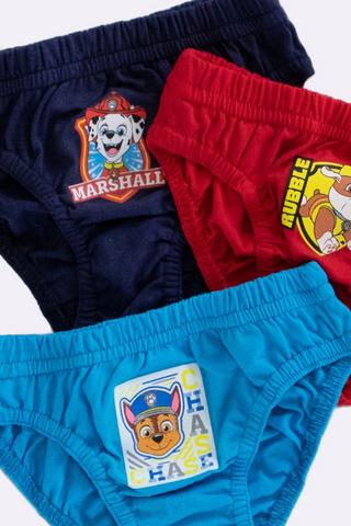 3 Pack Paw Patrol Briefs