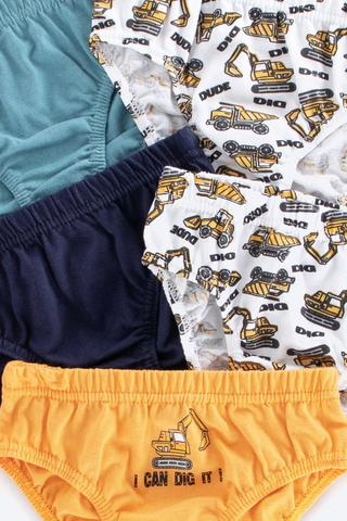 5 Pack Briefs