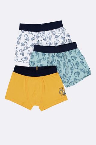 3 Pack Trunks