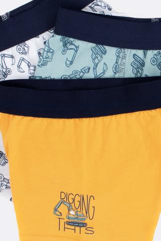 3 Pack Trunks