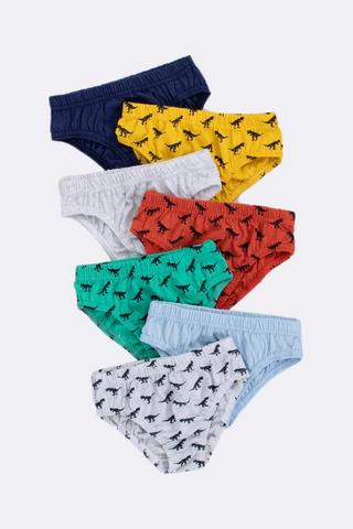 7 Pack Briefs