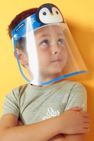 Face Shield