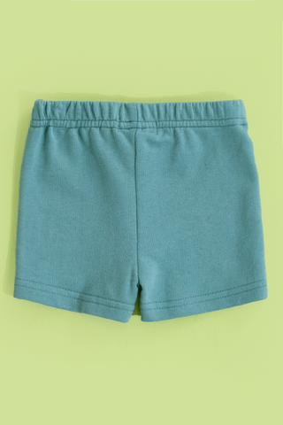 Fleece Shorts