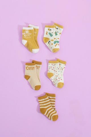 5 Pack Socks