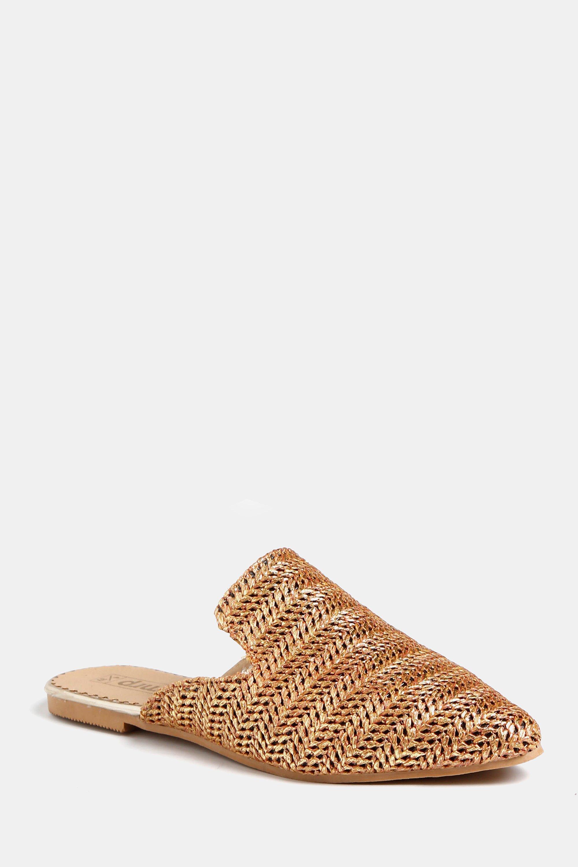 Pointy Slip On Mule