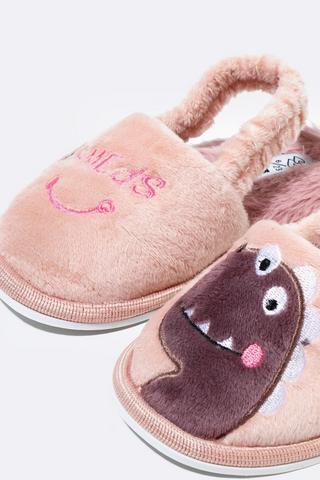 Dinosaur Slippers
