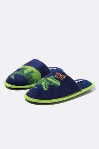 Dinosaur Slippers