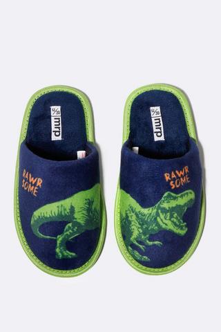Dinosaur Slippers