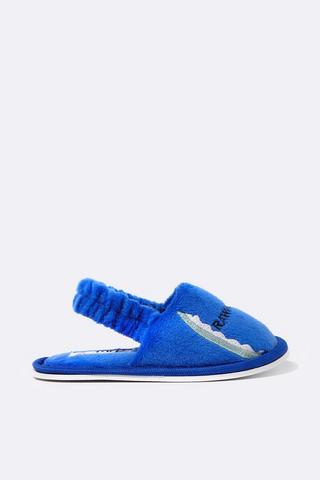 Dinosaur Slippers
