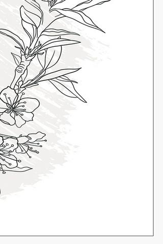 Line Floral Canvas, 40x40cm