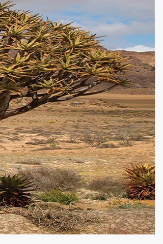 Desert Landscape Canvas, 45x135cm
